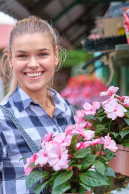 Serada bahçıvanlık eden genç bir kadın. Çiçek seçiyor..