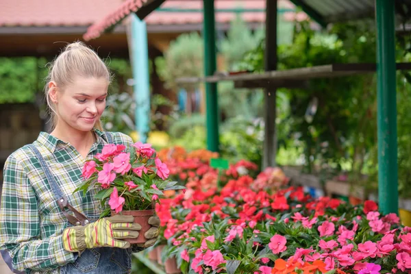 Mujer joven jardinería en invernadero.Ella seleccionando flores . — Foto de Stock