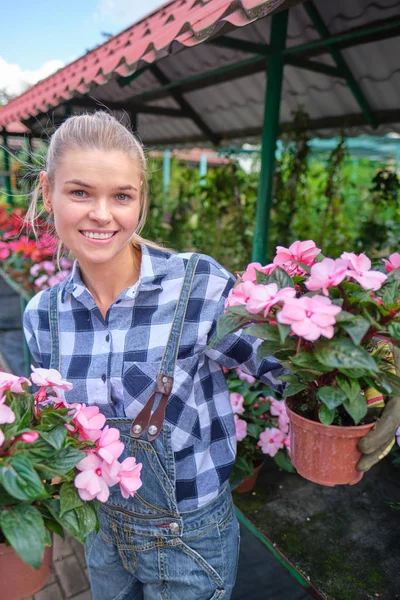 Jonge vrouw tuinieren in de kas. Ze selecteert bloemen. — Stockfoto