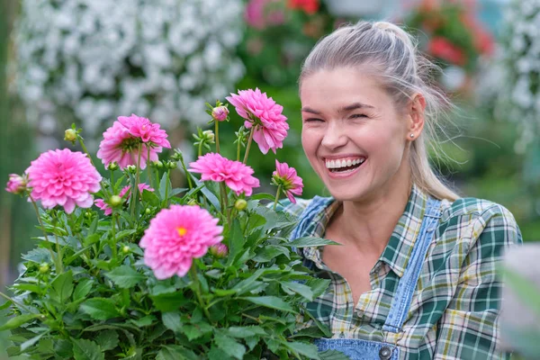 Glückliche Gärtnerin wählt Blumentopf mit Anthurien in gar — Stockfoto