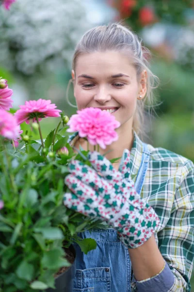 Glückliche Gärtnerin wählt Blumentopf mit Anthurien in gar — Stockfoto