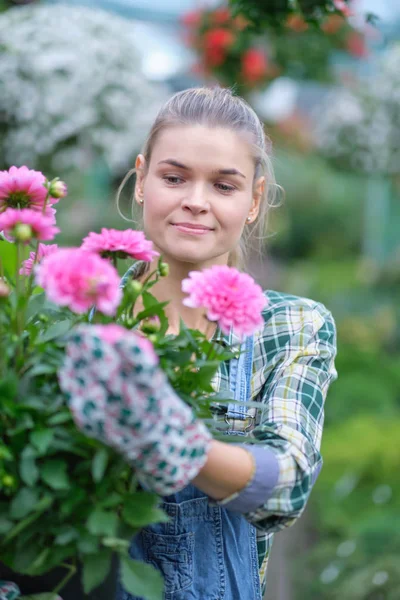 Glückliche Gärtnerin wählt Blumentopf mit Anthurien in gar — Stockfoto