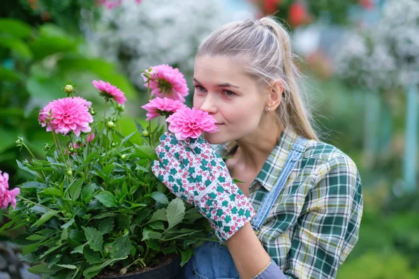 Glückliche Gärtnerin wählt Blumentopf mit Anthurien in gar — Stockfoto