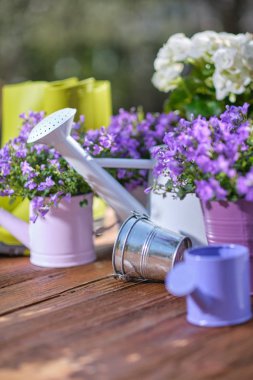 Bahçe - araçlar kümesi bahçıvan ve Çiçeklik güneşli GA için