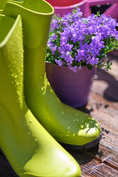 Giardinaggio - Set di strumenti per giardiniere e vasi da fiori in Sunny Ga — Foto Stock