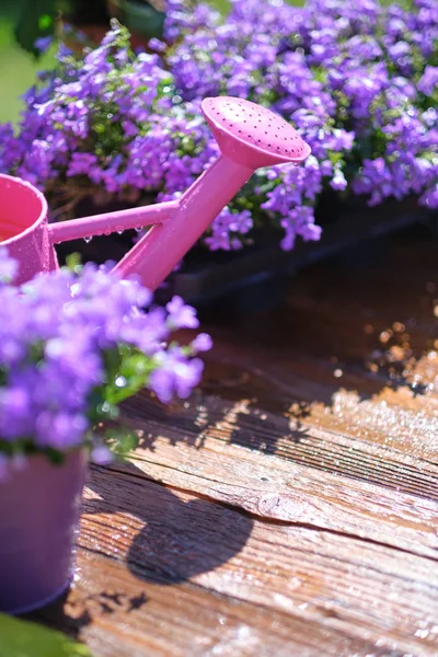 Jardinagem - Conjunto de ferramentas para jardineiro e vasos de flores em ensolarado Ga — Fotografia de Stock