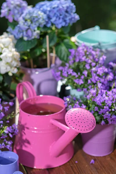 Trädgårdsskötsel - uppsättning verktyg för trädgårdsmästare och blomkrukor i soliga Ga — Stockfoto