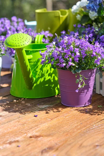 Gardening - Set Of Tools For Gardener And Flowerpots In Sunny Ga — Stock Photo, Image