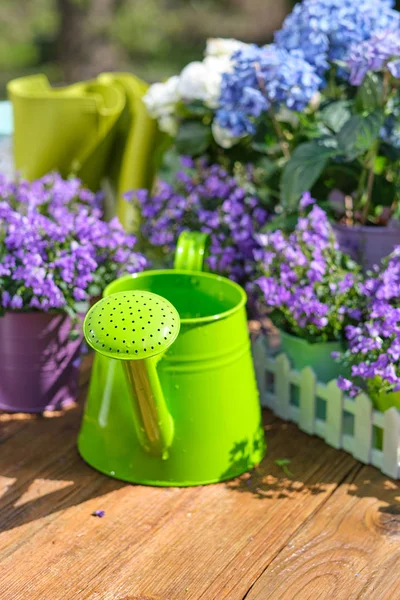 Gartenarbeit - Werkzeugset für Gärtner und Blumentöpfe im sonnigen Garten — Stockfoto