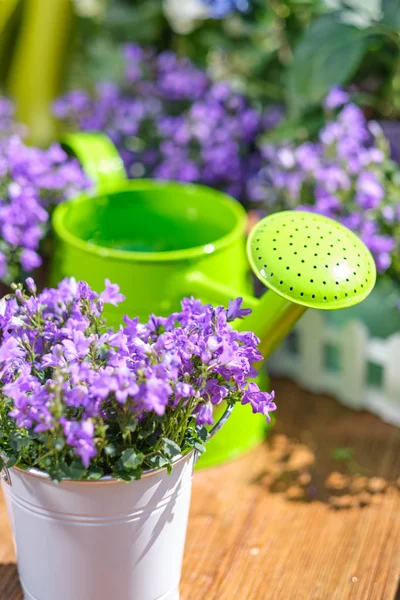 Bahçe - araçlar kümesi bahçıvan ve Çiçeklik güneşli GA için — Stok fotoğraf