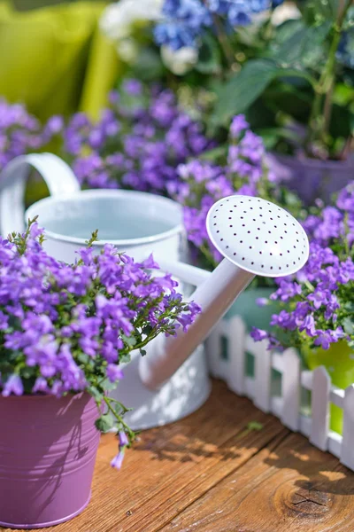 Giardinaggio - Set di strumenti per giardiniere e vasi da fiori in Sunny Ga — Foto Stock