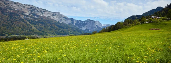 Hermoso paisaje de valle en las montañas alpinas , — Foto de Stock