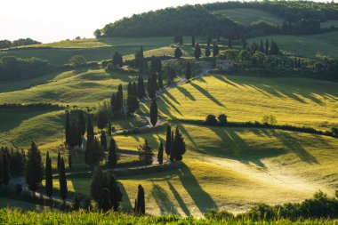Tuscany manzaraya gündoğumu. Bölge Toskana çiftlik, hills, üzüm bağı için tipik. İtalya