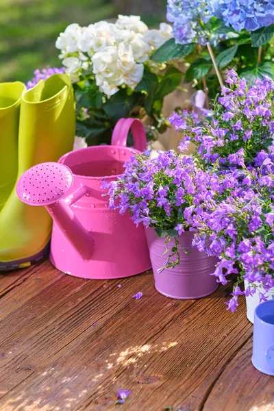 园艺工具 罐头和花卉在花园的阳台上 — 图库照片