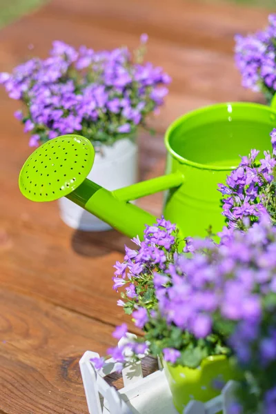 Gartengeräte Dose Und Blumen Auf Der Terrasse Garten — Stockfoto