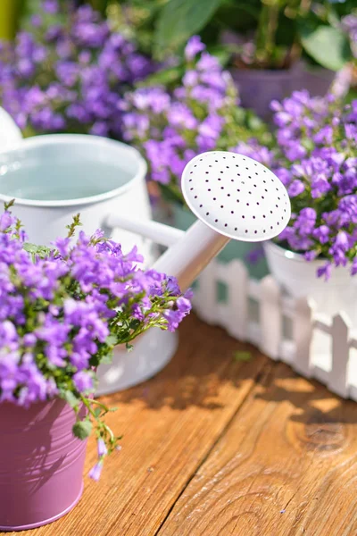 Trädgårdsredskap Burk Och Blommor Terrassen Trädgården — Stockfoto