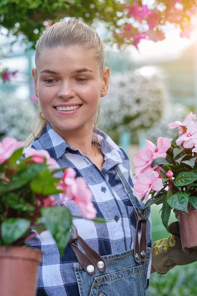 温室で花を扱う花屋の女性 小さなビジネスコンセプト — ストック写真