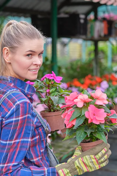 Floristas Mujer Trabajando Con Flores Invernadero Concepto Pequeña Empresa —  Fotos de Stock