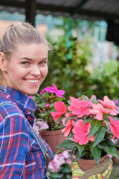 Floristas Mujer Trabajando Con Flores Invernadero Concepto Pequeña Empresa — Foto de Stock