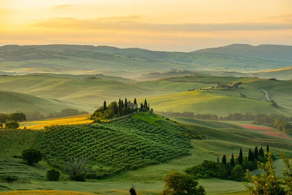 Toskánské Krajiny Úsvitu Typický Toskánský Statek Regionu Hills Vinice Itálie — Stock fotografie