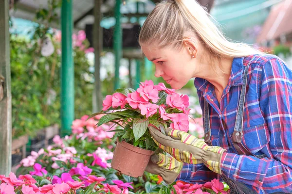 Lächelnder Blumenhändler Mit Blumentopf — Stockfoto