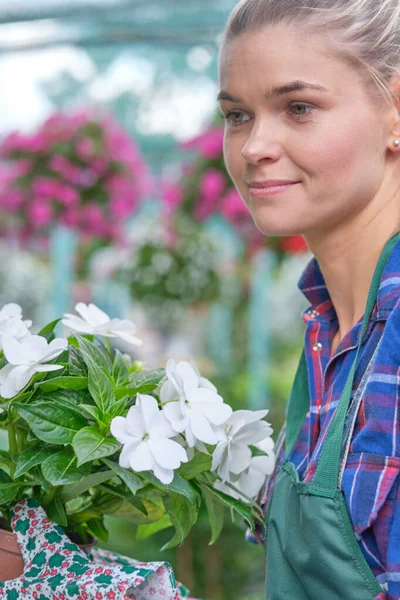 Florista Sorridente Segurando Panela Flores — Fotografia de Stock