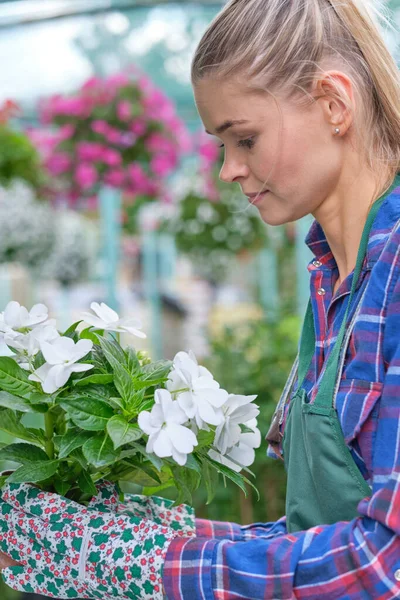 女性花店或在鲜花店或苗圃的园丁 — 图库照片
