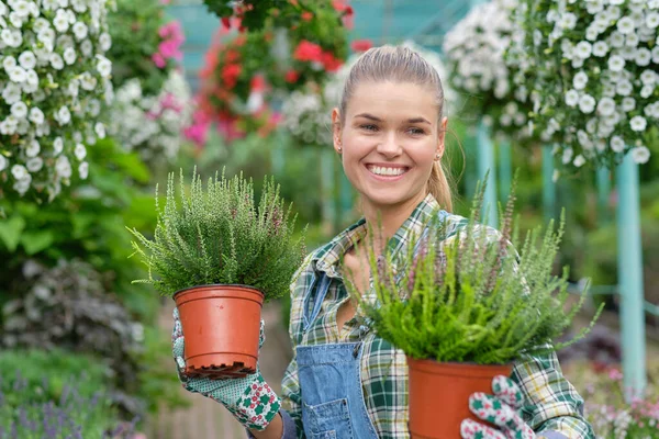 Belle Jeune Femme Heureuse Jardinier Choisir Pot Fleurs Avec Anthuriums — Photo
