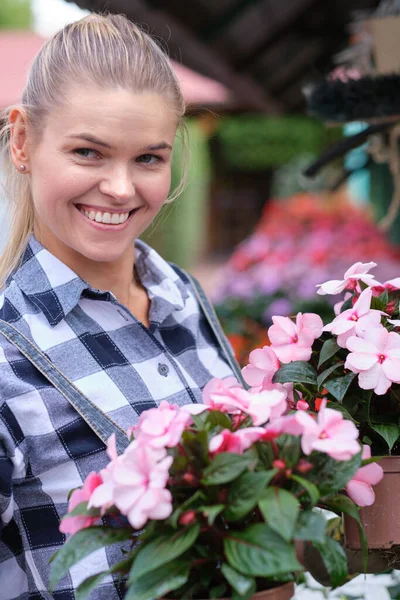 Çiçekçi Kadın Bir Serada Çiçeklerle Çalışıyor — Stok fotoğraf