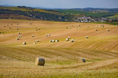 Hasat edilen bir tarlada saman balyaları, Toskana, İtalya, Avrupa