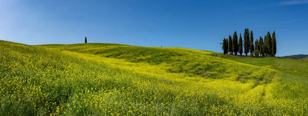 Toscana Primavera Colinas Ondulantes Primavera Paisaje Rural Campos Verdes Tierras —  Fotos de Stock