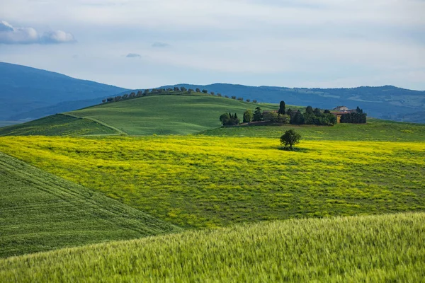 Toscane Lente Glooiende Heuvels Lente Landelijk Landschap Groene Velden Landbouwgronden — Stockfoto