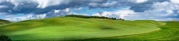 Тоскана Весна Холмы Весна Сельский Пейзаж Зеленые Поля Сельхозугодия Италия — стоковое фото