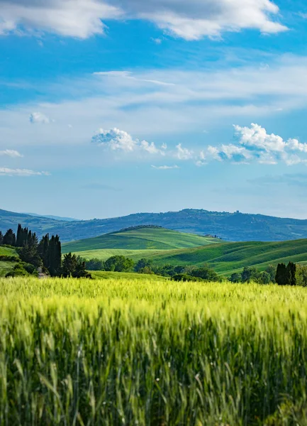 Toscana Vår Böljande Kullar Våren Landsbygd Gröna Fält Och Jordbruksmark — Stockfoto