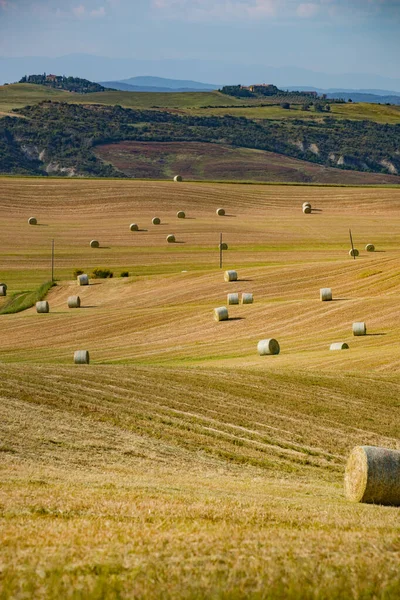 Bales Straw Harvested Field Tuscany Italy Europe — Stock Photo, Image