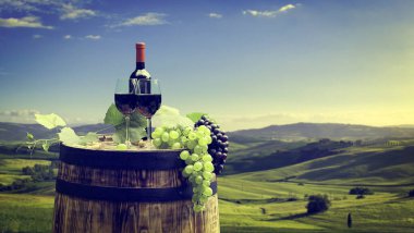 Chianti, Toskana, İtalya 'da üzüm bağında kırmızı şarap