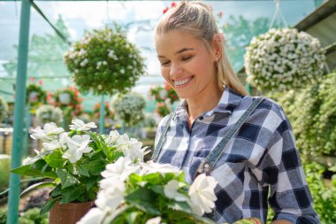 Serada bahçıvanlık eden genç bir kadın. Çiçek seçiyor..