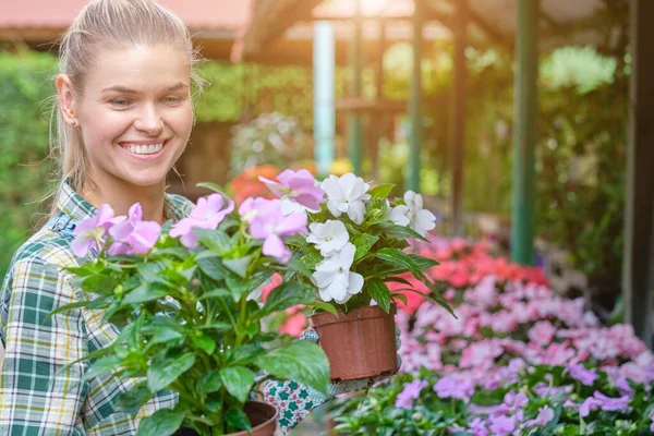 Lovely Happy Young Woman Gardener Choosing Flower Pot Anthuriums Garden — Stock Photo, Image