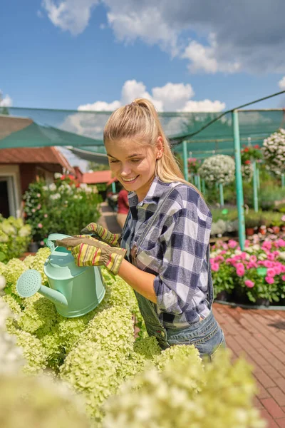 Young woman gardening in greenhouse.She selecting flowers.