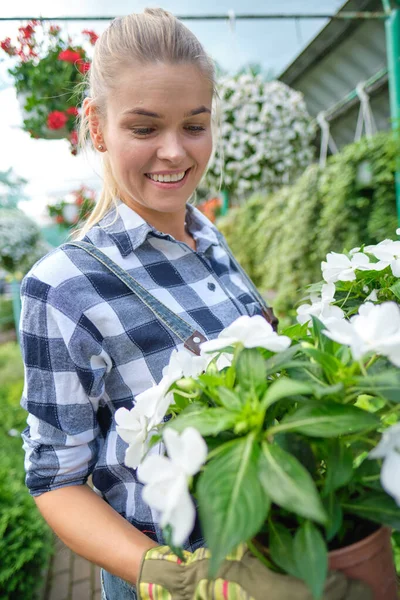 Mujer Joven Jardinería Invernadero Ella Seleccionando Flores — Foto de Stock