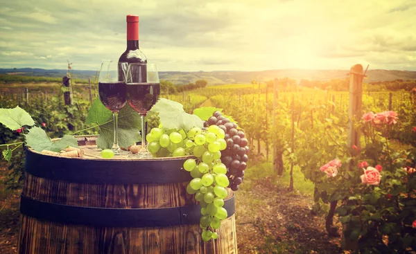 Vino Rosso Con Botte Vigneto Nella Verde Toscana — Foto Stock