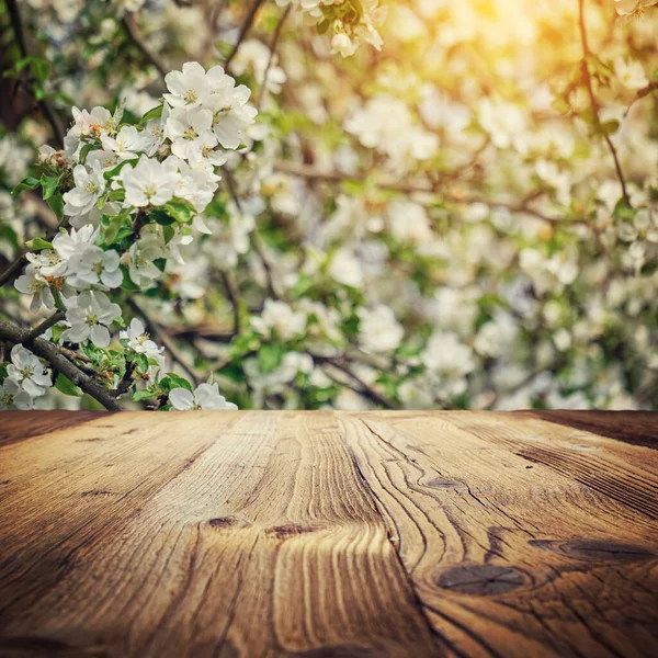 Helder Mooi Licht Bloeiende Landelijke Appelbomen Steegje Zonnige Lente Park — Stockfoto