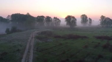 Şafak - hava anket puslu çayır üzerinde uçan