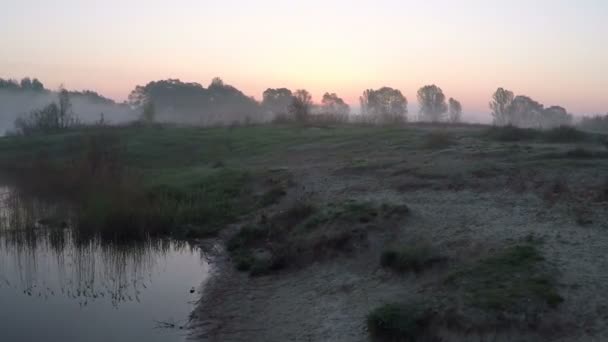 Flying over the misty meadow at dawn - aerial survey — Stock Video