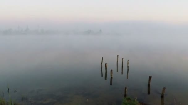 夜明け - 航空測量霧湖上空 — ストック動画