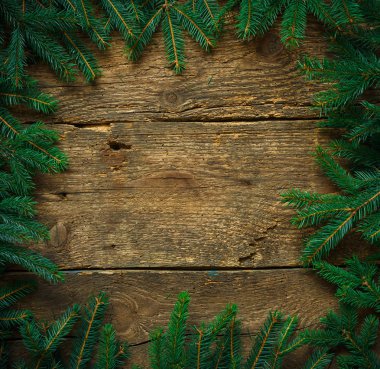Noel ağacı dalları ahşap doku tasarımlarınız için hazır