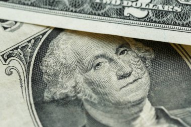 George Washington portre ABD'nin bir dolar fatura makro