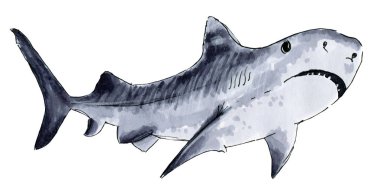 Painted markers shark on a white clipart