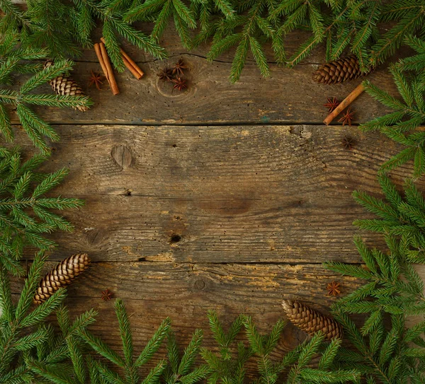 Branche d'arbre de Noël avec bâtons de cannelle et dittany sur bois — Photo