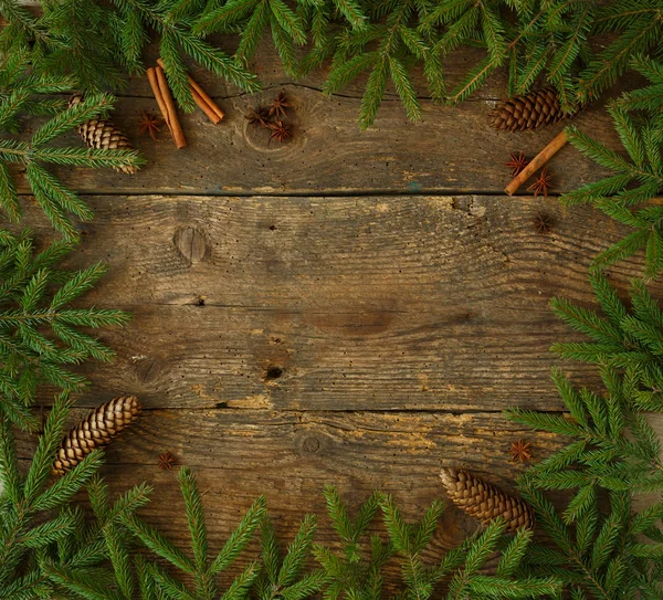 Branche d'arbre de Noël avec bâtons de cannelle et dittany sur bois — Photo